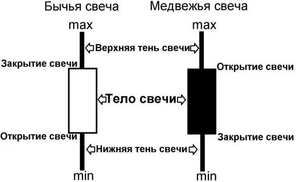 Возможно вы скажете Что за зоопарк Животные были взяты для облегчения - фото 1