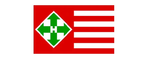 La bandiera del partito nazionalsocialista ungherese frecce incrociate - фото 10