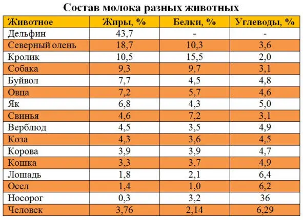 Вторая большая группа домашних животных это животныекомпаньоны С ним - фото 3