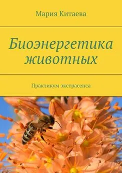 Мария Китаева - Биоэнергетика животных. Практикум экстрасенса