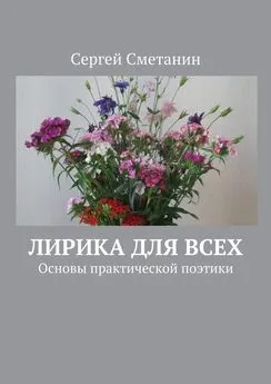 Сергей Сметанин - Лирика для всех. Основы практической поэтики