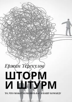 Ержан Терекулов - Шторм и штурм. То, что может изменить вас и вашу команду