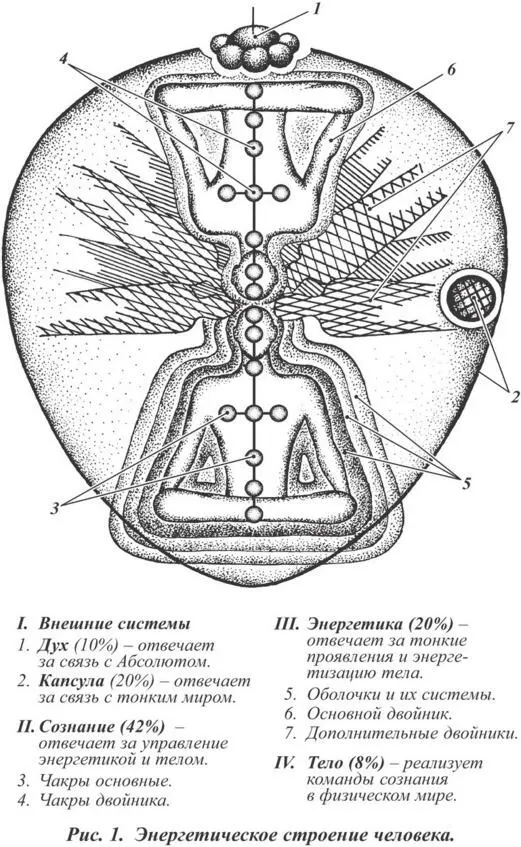 2 Строение сознания Чакры основные единицы сознания реализующие все его - фото 1