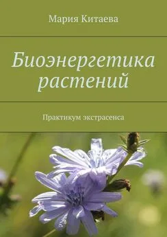 Мария Китаева - Биоэнергетика растений. Практикум экстрасенса