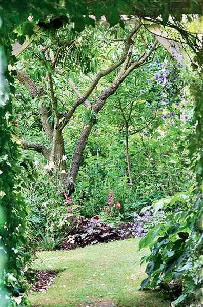 Сад в природном стиле Дорожки на таком участке делают извилистыми свободно - фото 4