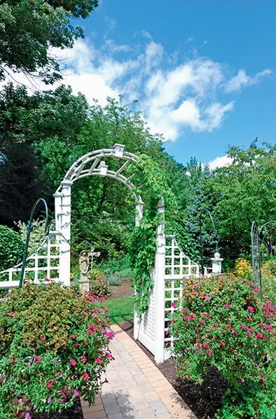 Часть сада в регулярном стиле Многолетние цветы и декоративные кустарники тоже - фото 6