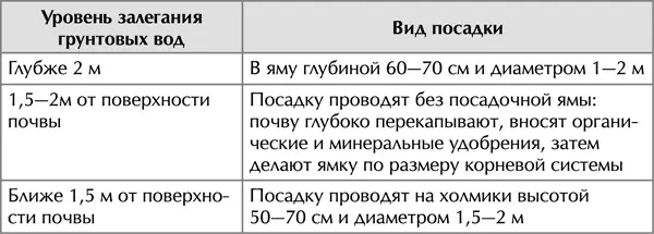 Посадочную яму готовят следующим образом выбирают и откладывают верхний - фото 6