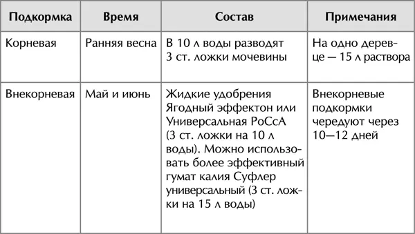 ОТ ВТОРОГО ГОДА ДО НАЧАЛА ПЛОДОНОШЕНИЯ Междурядья в молодых до 5летнего - фото 9