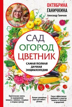 Октябрина Ганичкина - Сад. Огород. Цветник. Самая полная дачная энциклопедия