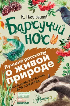 Константин Паустовский - Барсучий нос. С вопросами и ответами для почемучек