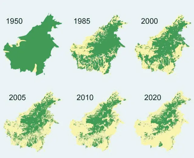 Рис 15Исчезновение лесов на Борнео Интересен пример и из области сельского - фото 5