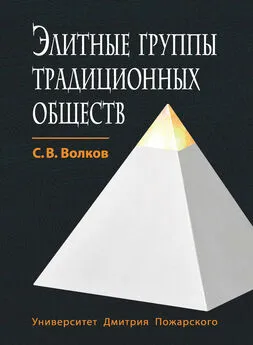 Сергей Волков - Элитные группы традиционных обществ