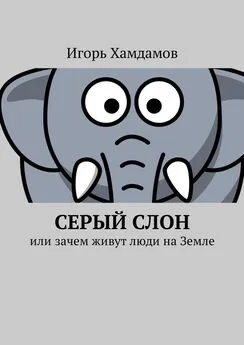 Игорь Хамдамов - Серый слон. Или зачем живут люди на Земле