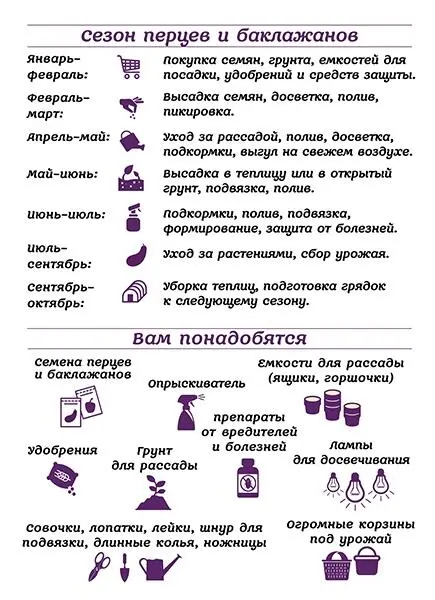 На юге где много тепла баклажан вырастить легче перца Он имеет более сильную - фото 1