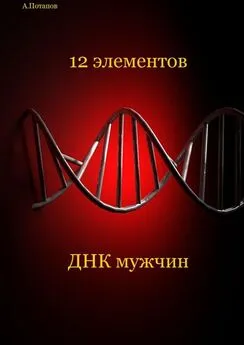 Андрей Потапов - 12 элементов ДНК мужчин. Об этом надо знать каждой женщине