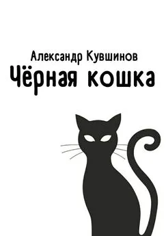 Александр Кувшинов - Чёрная кошка
