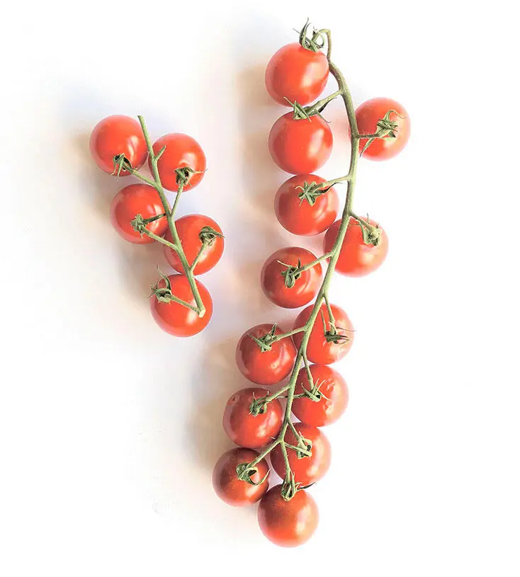 Овощи красного цвета Томаты красный перец и свекла помогают в формировании - фото 7