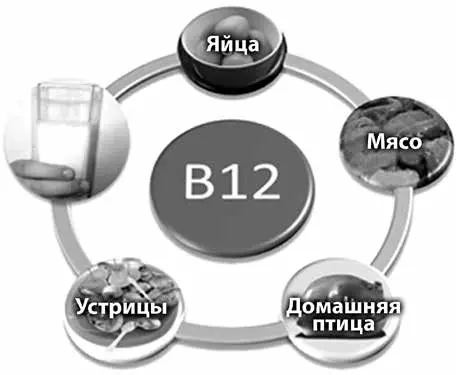 Перед тем как у вас разовьётся анемия связанная с низким уровнем В12 и - фото 2