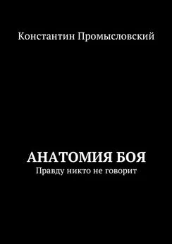 Константин Промысловский - Анатомия боя. Правду никто не говорит