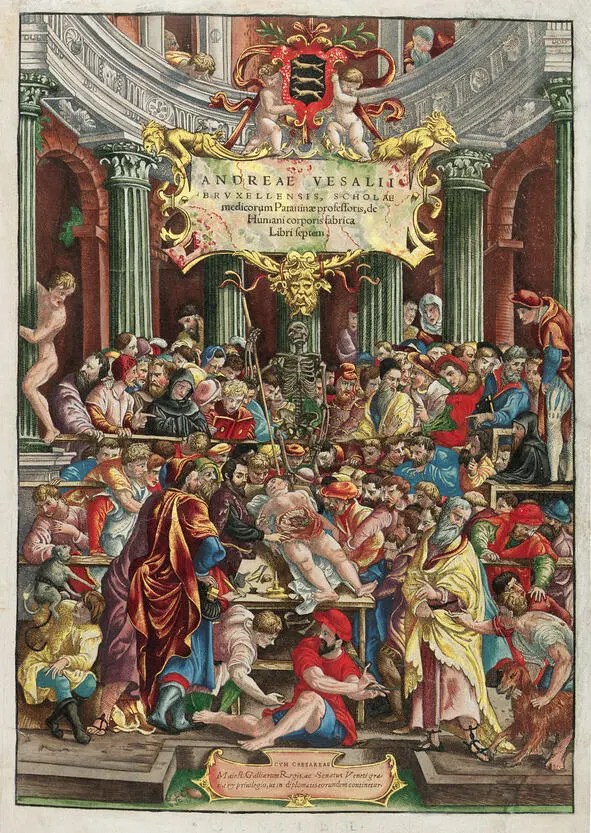 Андрей Везалий О строении человеческого тела в семи книгах Базель 1543 - фото 2