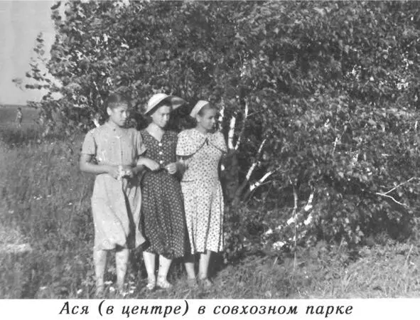 Наконец перед нами устало рассевшимися на своих рюкзаках и чемоданах выступил - фото 2