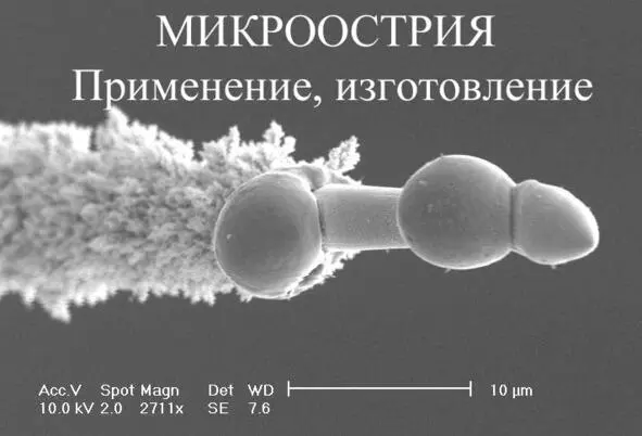 Аннотация Изложена и систематизирована информация о микроостриях их особых - фото 1