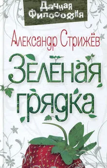 Александр Стрижев - Зеленая грядка