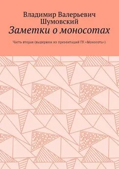 Владимир Шумовский - Заметки о моносотах. Часть вторая (выдержки из презентаций ГК «Моносота»)