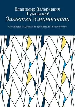 Владимир Шумовский - Заметки о моносотах. Часть первая (выдержки из презентаций ГК «Моносота»)