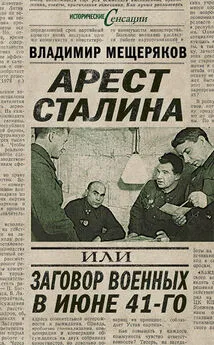 Владимир Мещеряков - Арест Сталина, или Заговор военных в июне 41-го