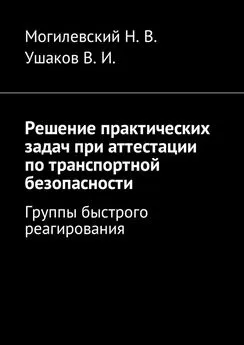 Николай Могилевский - Решение практических задач при аттестации по транспортной безопасности. Группы быстрого реагирования