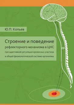 Юрий Копьев - Строение и поведение рефлекторного механизма в ЦНС при адаптивной регуляции кризисных участков в общей физиологической системе организма