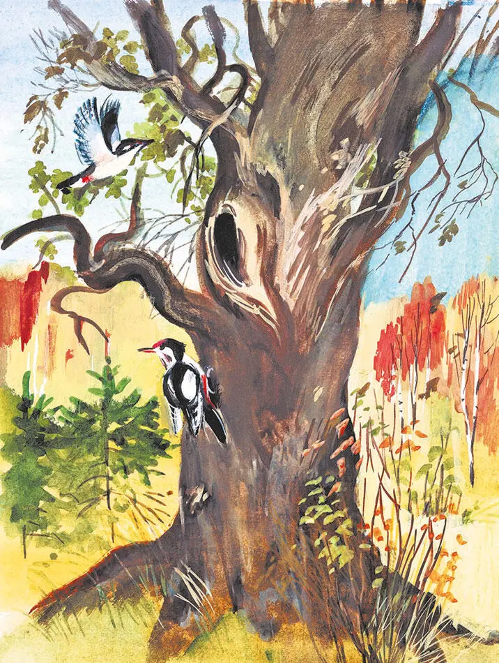Стоял в лесу дуб Толстыйпретолстый старыйпрестарый Прилетел Дятел пёстрый - фото 7