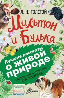 Евгения Вязникова - Мильтон и Булька. С вопросами и ответами для почемучек