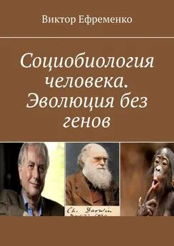 Виктор Ефременко - Социобиология человека. Эволюция без генов. Социальная (культурная) эволюция