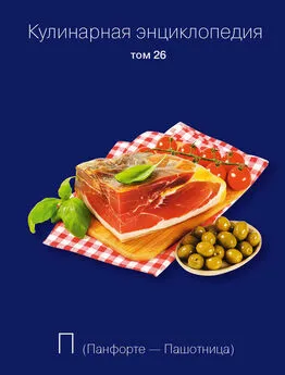 Надежда Бондаренко - Кулинарная энциклопедия. Том 26. П (Панфорте – Пашотница)