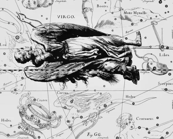 О121 Зодиакальное созвездие Дева VIRGO из Атласа Uranographia Яна Гевелия - фото 12