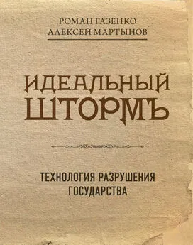 Алексей Мартынов - Идеальный шторм. Технология разрушения государства