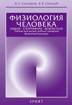 Алексей Солодков - Физиология человека. Общая. Спортивная. Возрастная. 6-е издание