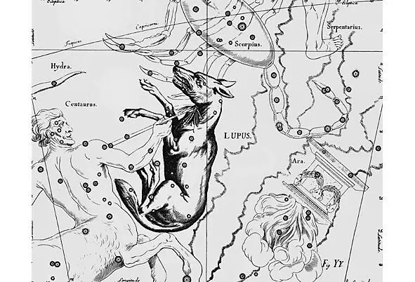 АI7 Созвездие Волк LUPUS из Атласа Uranographia Яна Гевелия 1690 года - фото 7
