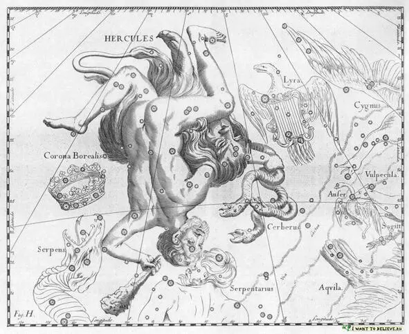 АI8 Созвездие Геркулес HERCULES из Атласа Uranographia Яна Гевелия 1690 - фото 8