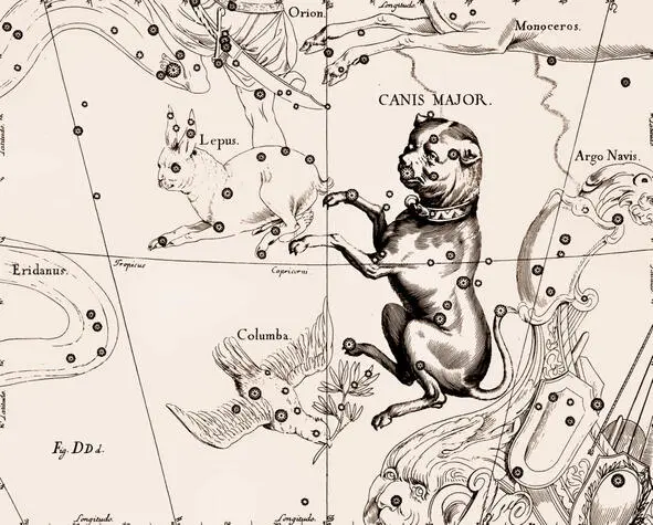 АI9 Созвездие Большой Пёс CANIS MAJOR из Атласа Uranographia Яна Гевелия - фото 9