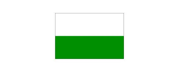 С XIX в и до 1960 г флаг Штирии был зеленобелым в 1960 г цвета поменяли - фото 61