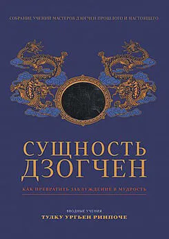 Эрик Кунсанг - Сущность Дзогчен. Как превратить заблуждение в мудрость