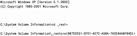 Попав в каталог System Restore вы можете просмотреть его содержимое командой - фото 17