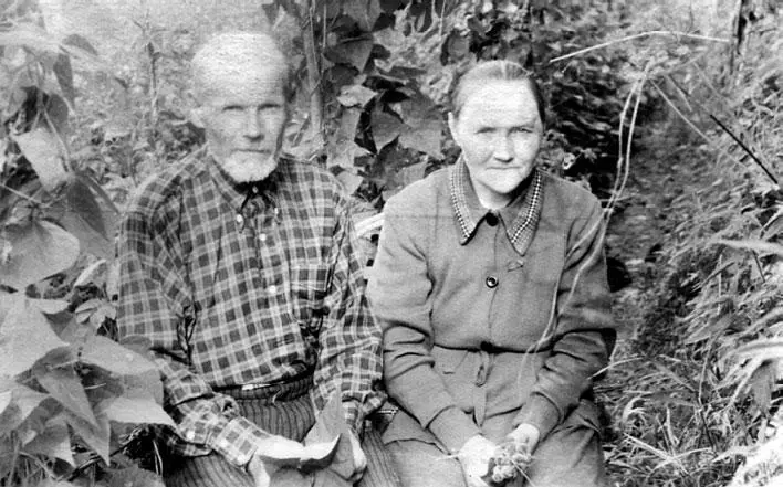Отец Соколов Емельян Степанович и мать Соколова Прасковья Ивановна Июнь 1954 - фото 5