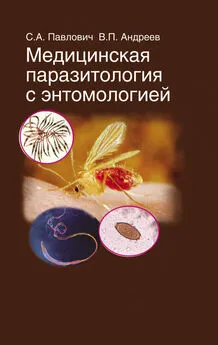 Виктор Андреев - Медицинская паразитология с энтомологией