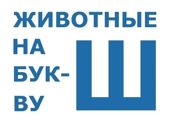 Шакал По степи гулял Шакал Он еду себе искал Гдето съел Шакал Улитку - фото 1