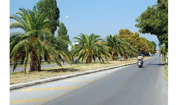 Ещё больше всего русского на Паралии Катерини Παραλία Κατερίνης С одной - фото 14