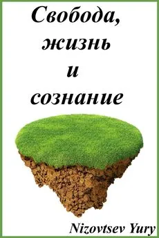 Юрий Низовцев - В чем, как и для чего действует свобода?